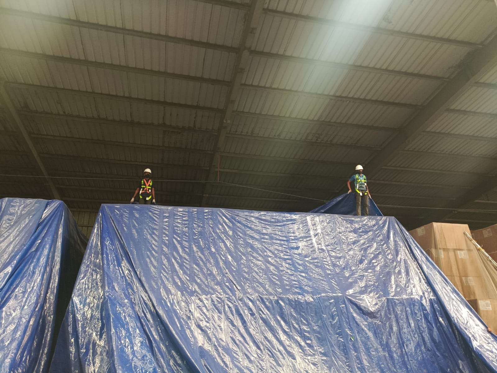 Industrial Fumigation