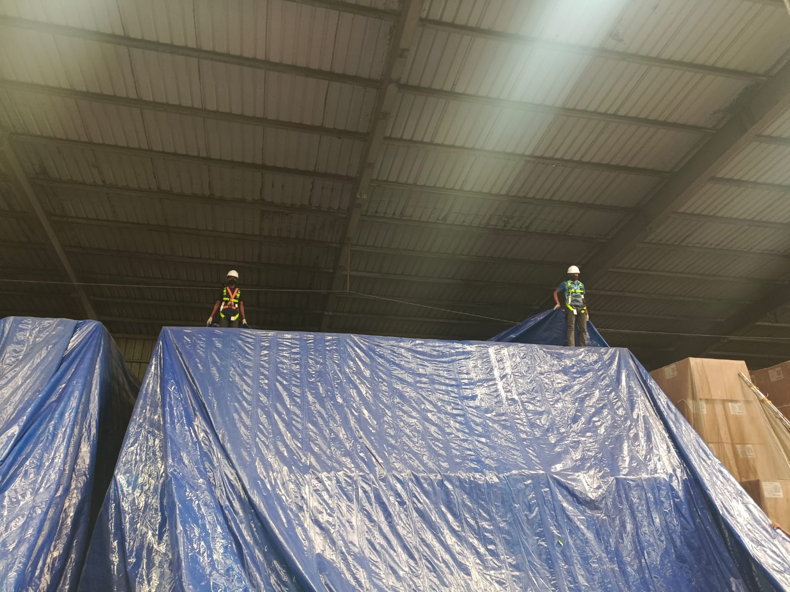 Fumigation