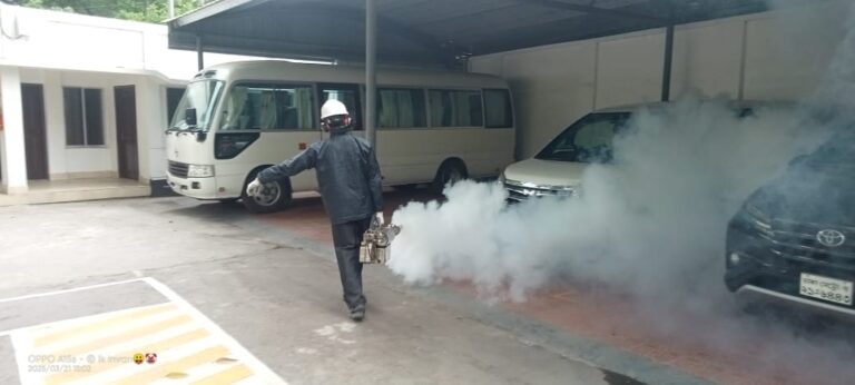 WhatsApp Image 2025-04-02 at 22.43.39